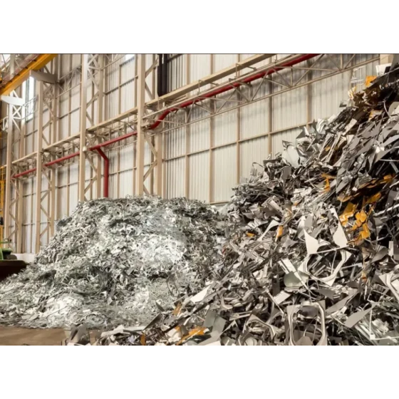 ポリメタル成分の共抽出試験