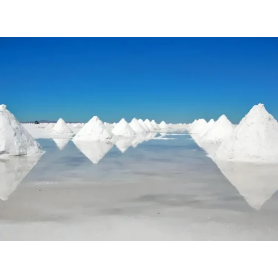 塩湖ブライン資源からの浮遊法によるリチウム抽出