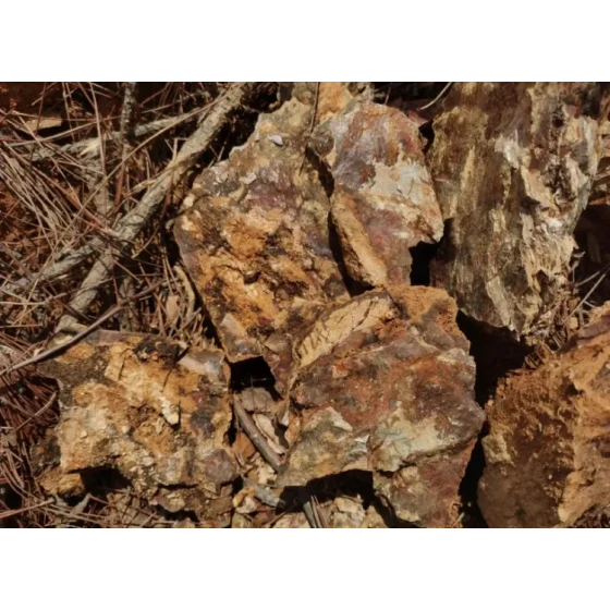 酸化金鉱石の加工試験