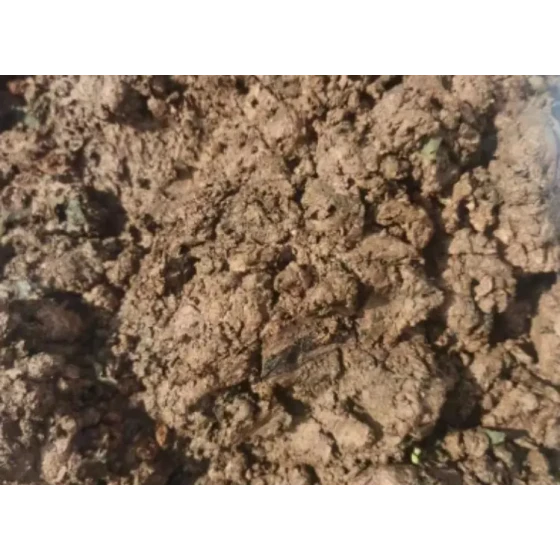 金属酸化物鉱石スライムの選鉱試験