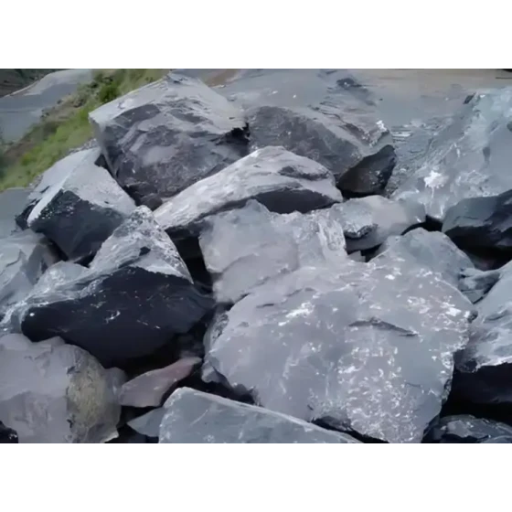 炭素質金鉱滓からの回収テスト