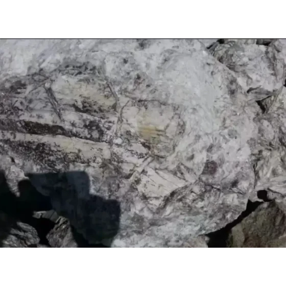 スポジュメンからのリチウム抽出試験