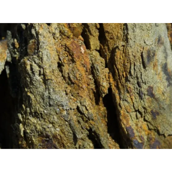 シアン浸出による金抽出試験