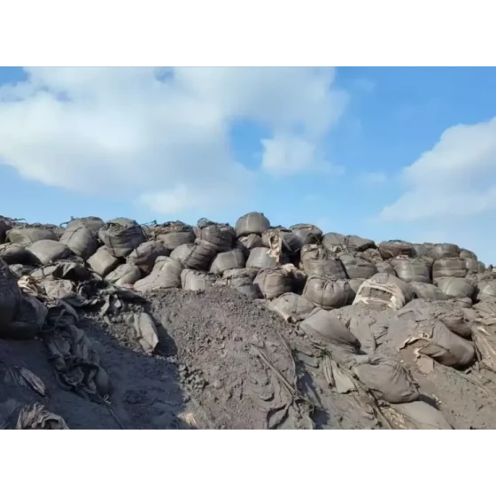 耐火性鉄鉱石精鉱の品位向上試験