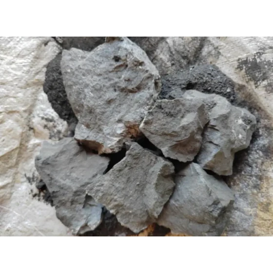 高硫黄金鉱石の鉱物処理試験