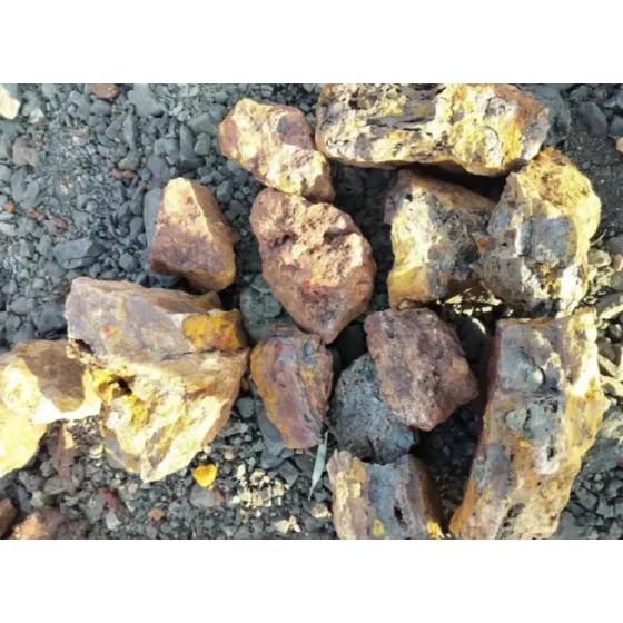 含金リモナイトの鉱物処理試験