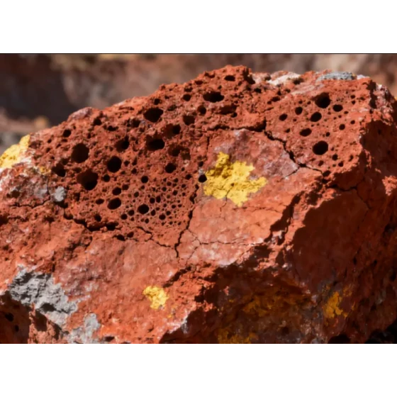 ラテライトニッケル鉱石の統合鉱物処理冶金試験