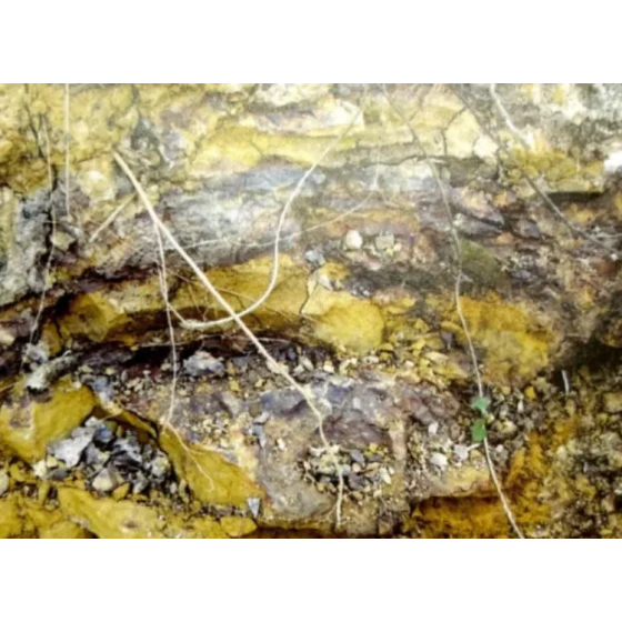 耐火性関連鉱石の浸出プロセス試験