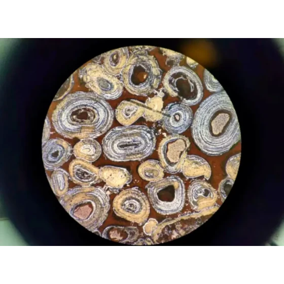 オリチック・ヘマタイトの脱リン・脱珪試験