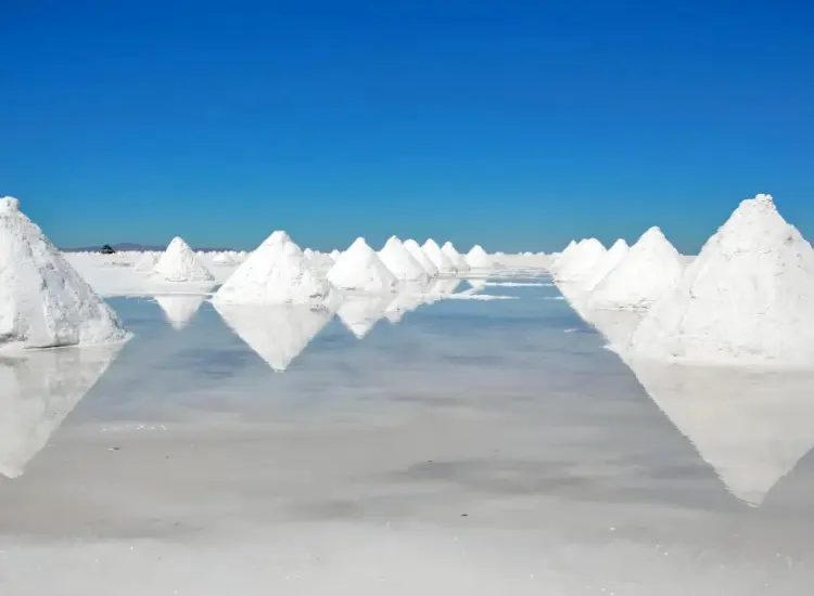 塩湖ブライン資源からの浮遊法によるリチウム抽出