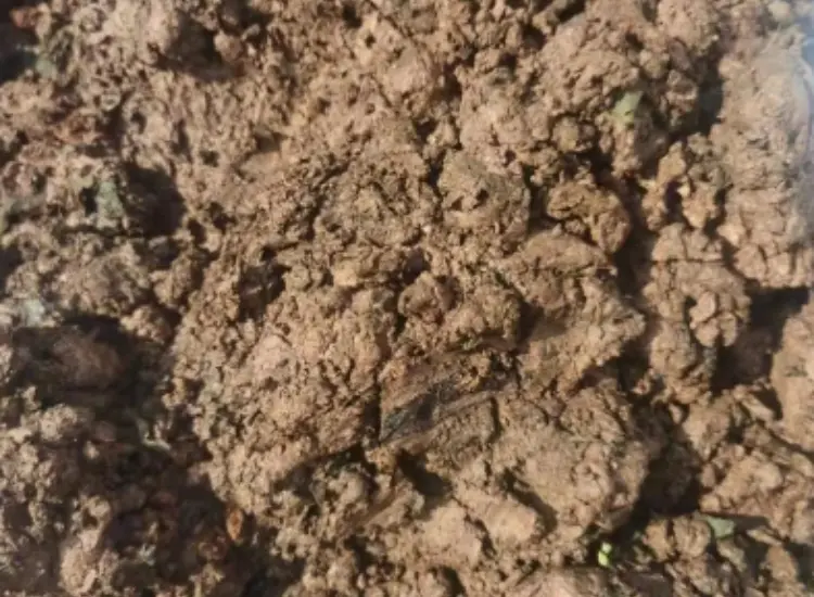 金属酸化物鉱石スライムの選鉱試験