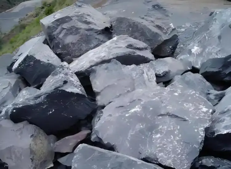 炭素質金鉱滓からの回収テスト