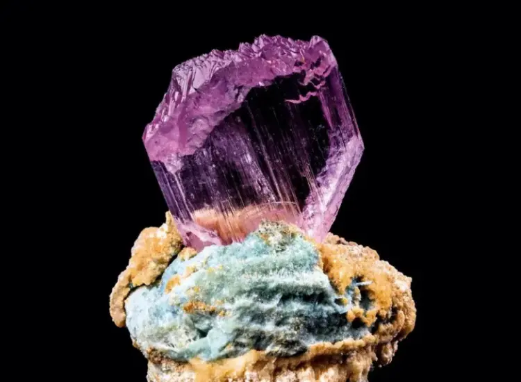 スポジュメンの浮遊試験