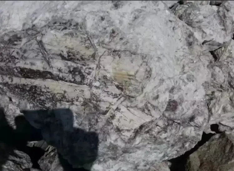 スポジュメンからのリチウム抽出試験