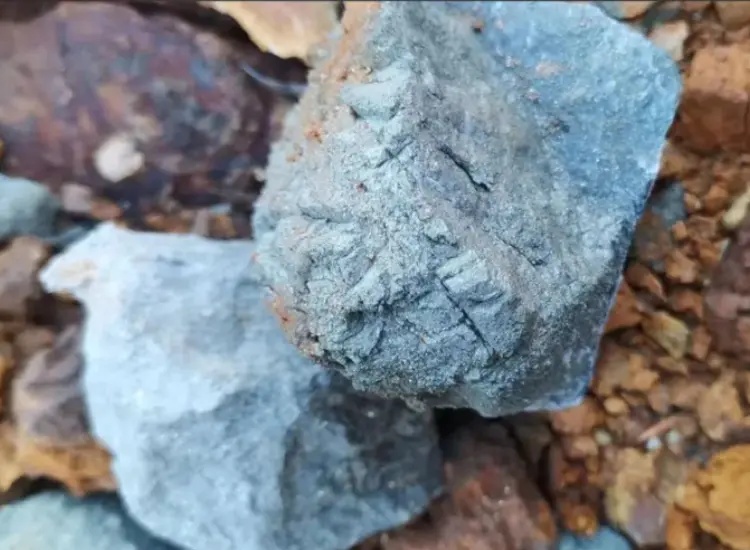 高硫黄金鉱滓からの回収試験