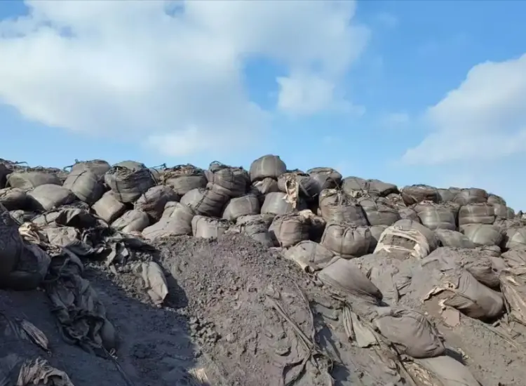 耐火性鉄鉱石精鉱の品位向上試験