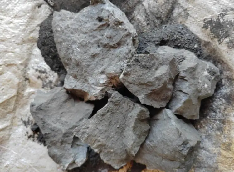 高硫黄金鉱石の鉱物処理試験