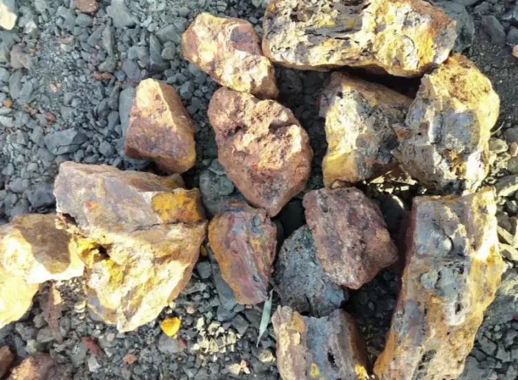 含金リモナイトの鉱物処理試験