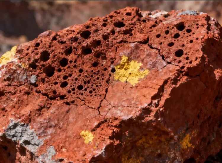 ラテライトニッケル鉱石の統合鉱物処理冶金試験
