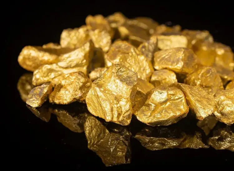 金鉱石の浮遊試験