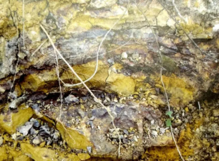 耐火性関連鉱石の浸出プロセス試験