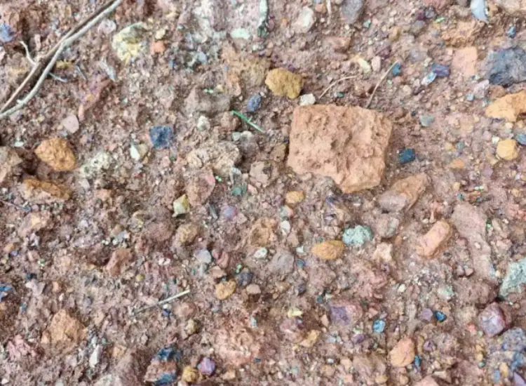 鉛亜鉛酸化鉱の鉱物処理試験