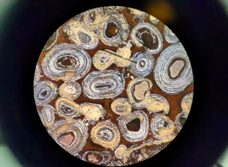 オリチック・ヘマタイトの脱リン・脱珪試験